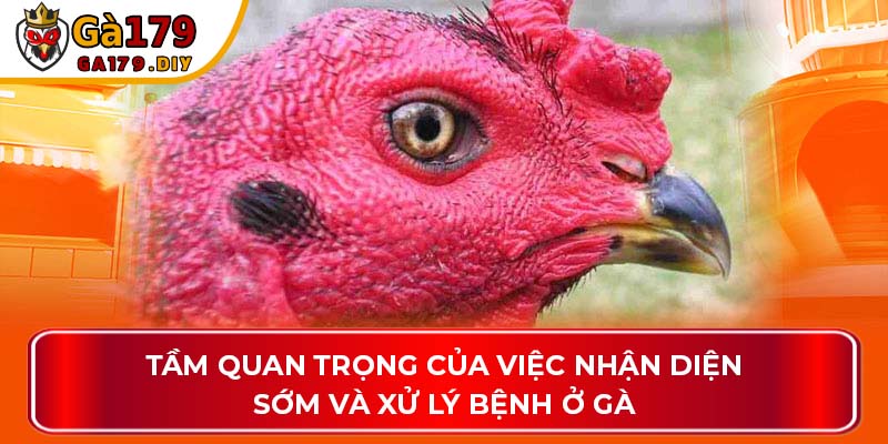 Tầm quan trọng của việc nhận diện sớm và xử lý bệnh của gà