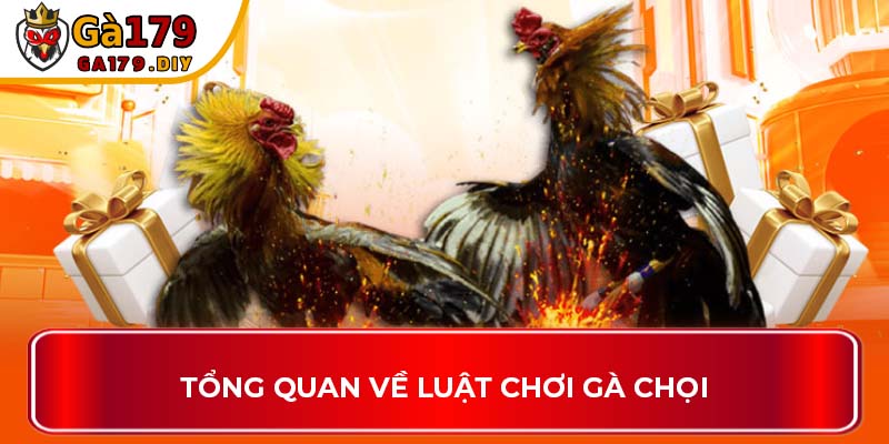 Tổng quan về luật chơi gà chọi