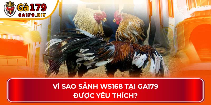 Vì sao sảnh WS168 tại GA179 được yêu thích?