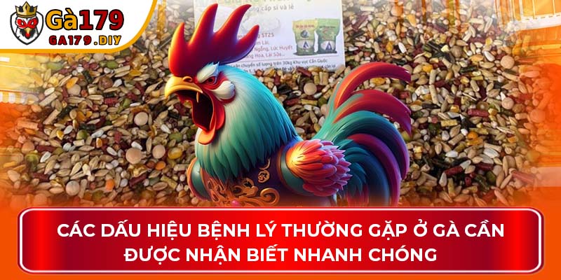 Các dấu hiệu bệnh lý thường gặp ở gà cần được nhận biết nhanh chóng