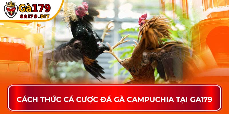 Cách thức cá cược đá gà Campuchia tại GA179