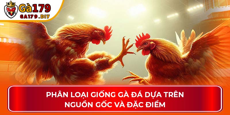 Phân loại giống gà dựa trên nguồn gốc và đặc điểm