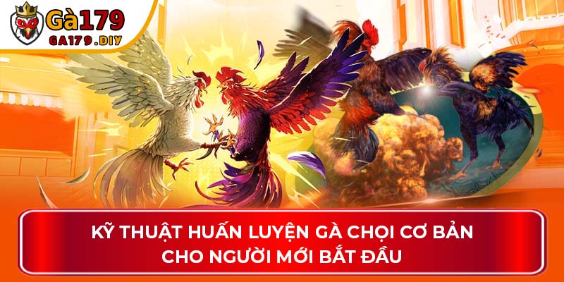 Kỹ thuật huấn luyện cơ bản cho người mới bắt đầu
