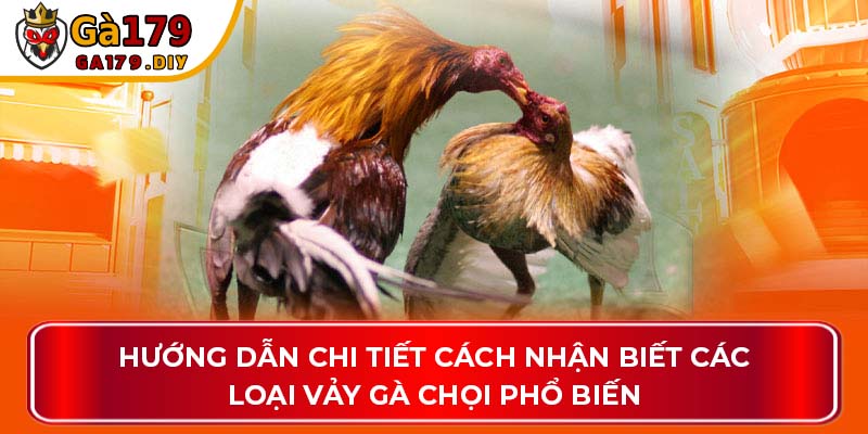 Hướng dẫn chi tiết cách nhận biết các loại vảy ở gà chọi phổ biến