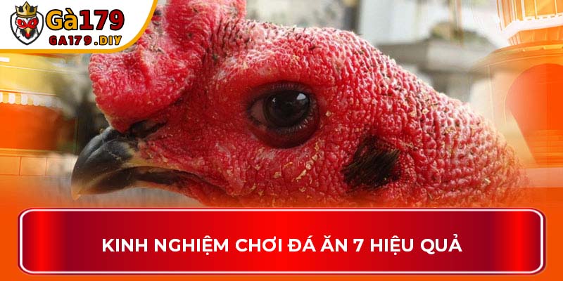 Kinh nghiệm chơi đá ăn 7 hiệu quả