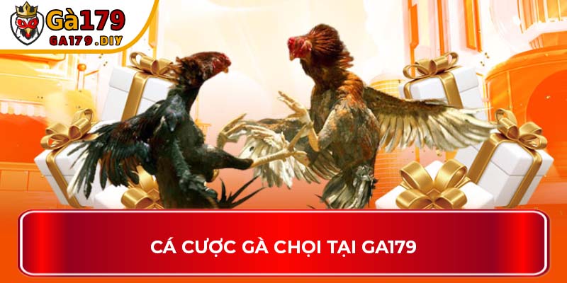 Cá cược gà chọi tại GA179
