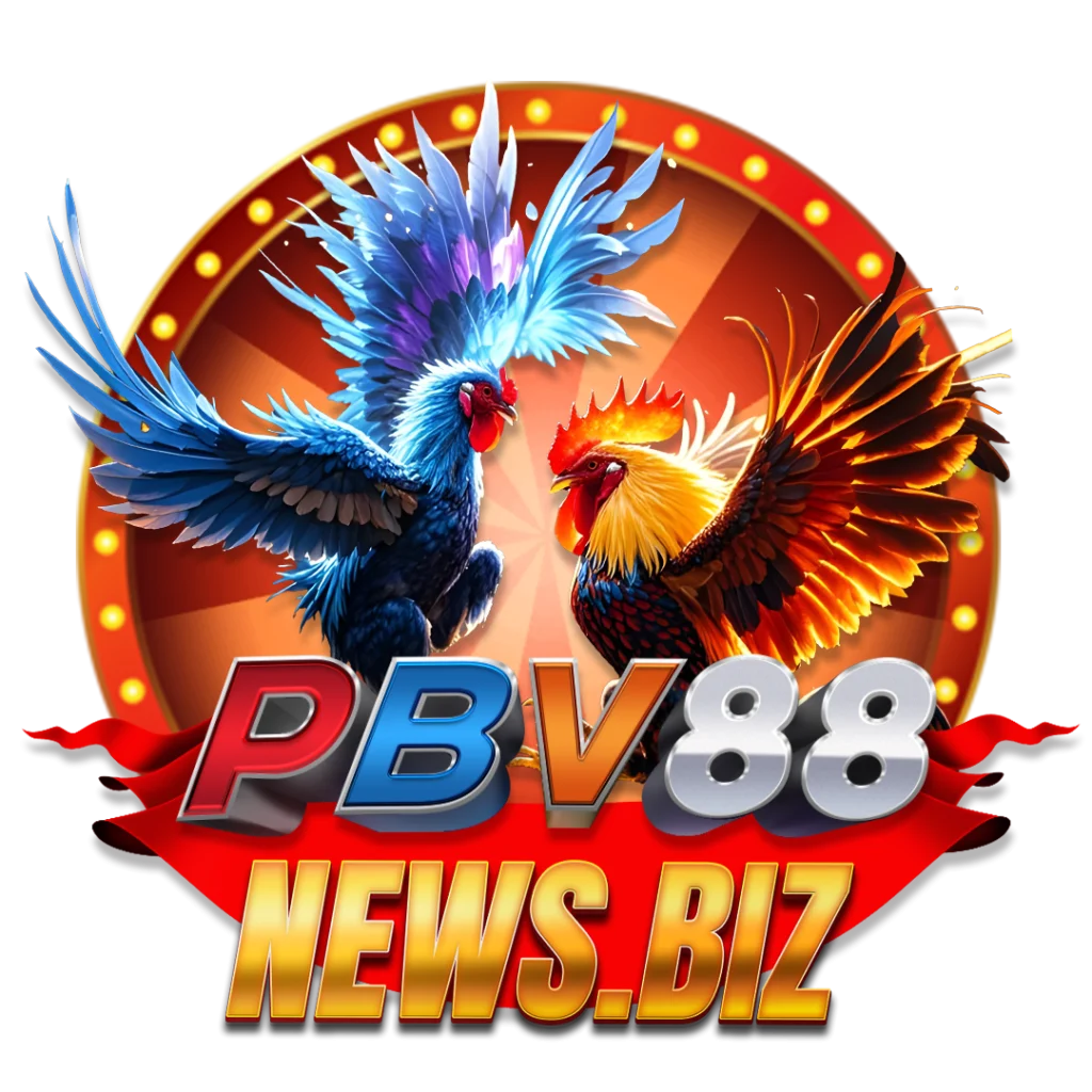 PBV88 News Biz