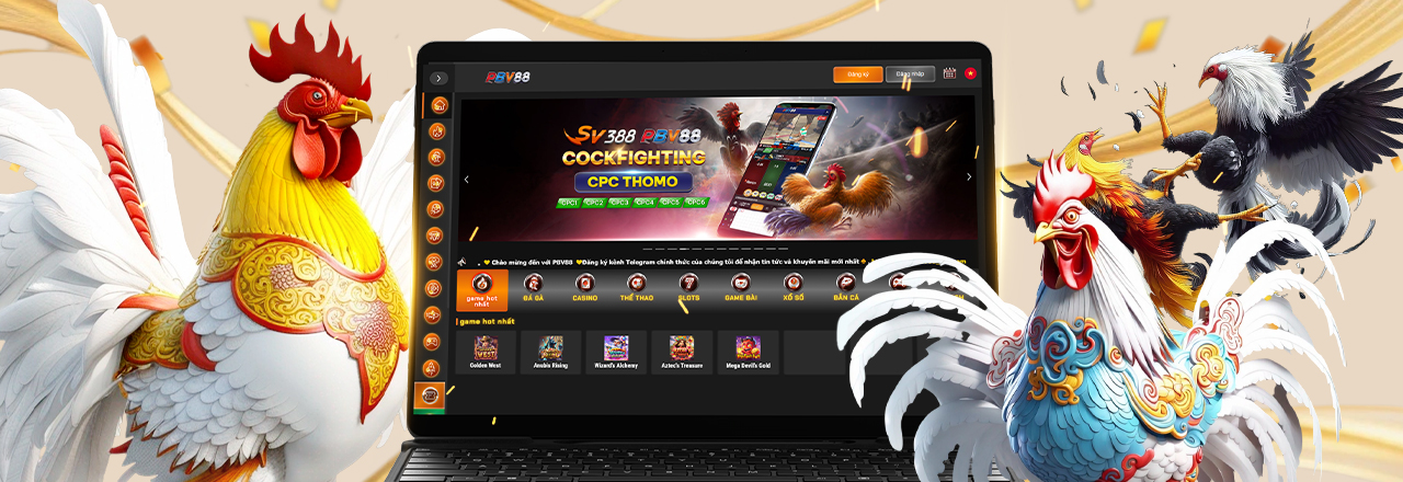 Banner of pbv88news.biz